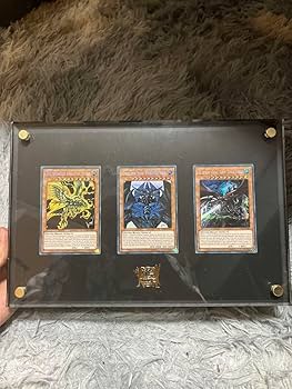 Amazon.co.jp: 海馬セット スクリューダウン 3連 ディスプレイケース